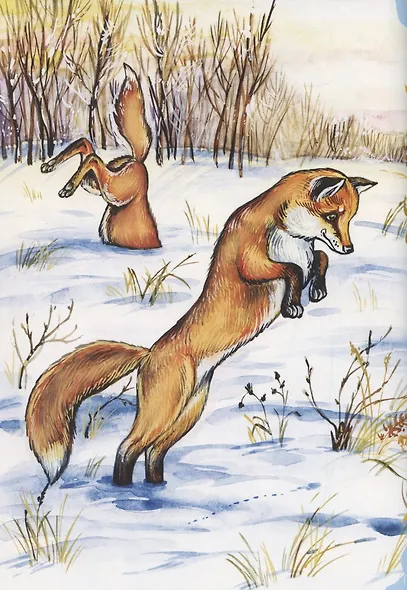 Там, на неведомых дорожках… - фото 5