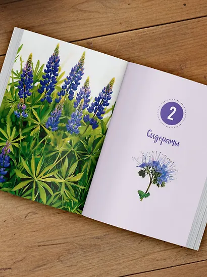 Шпаргалка для садовода. Практические советы по работам в малоуходном саду от Татьяны Селезневой - фото 9