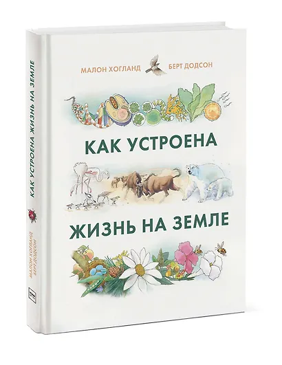 Как устроена жизнь на Земле - фото 3