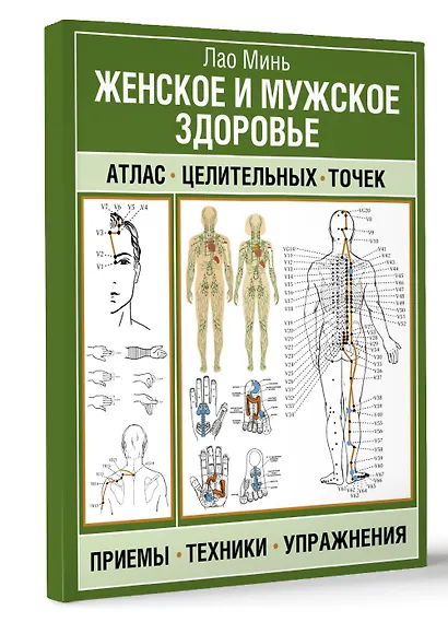 Женское и мужское здоровье. Атлас целительных точек, приемы, техники, упражнения - фото 3
