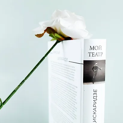 Мой театр. Книга вторая - фото 10