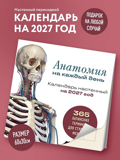 Анатомия на каждый день. 365 латинских терминов для студента-медика. Календарь настенный на 2027 год (300х300 мм) - фото 3