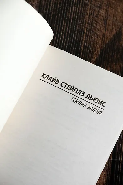 Темная башня - фото 7