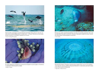 Что знает рыба. Внутренний мир наших подводных собратьев - фото 5