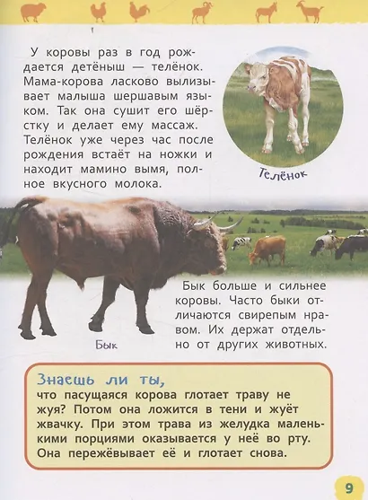 Домашние животные (Энциклопедия для детского сада) - фото 4