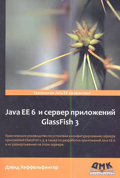 Java EE 6 и сервер приложений GlassFish 3 - фото 1