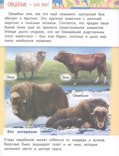 Отчего и почему? Кто это? Удивительные жители нашей планеты - фото 3
