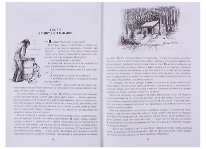 Приключения Гекльберри Финна - фото 5