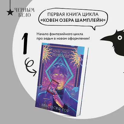 Комплект Ковен озера Шамплейн (книга+тетрадь) - фото 4