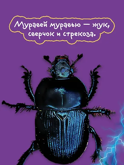 Жизнь насекомых - фото 8