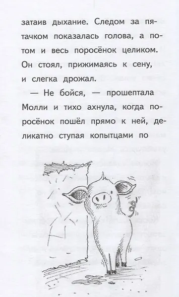Очень скромный поросёнок : повесть - фото 6