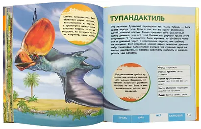 Динозавры. Моя первая большая энциклопедия - фото 6