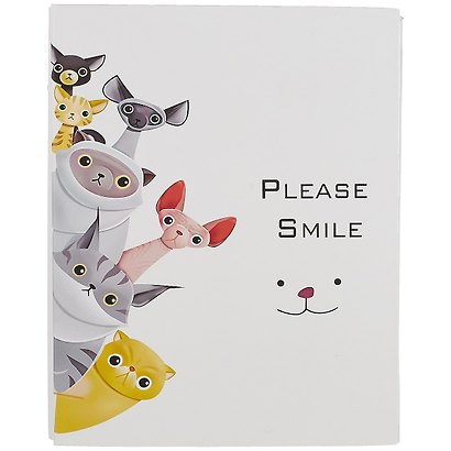 Фотоальбом на 200 фото Котики Please smile (10х15) (коробка) (12-07207-902) - фото 3