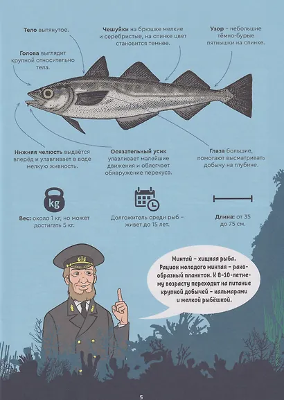 Тайна минтая - фото 3