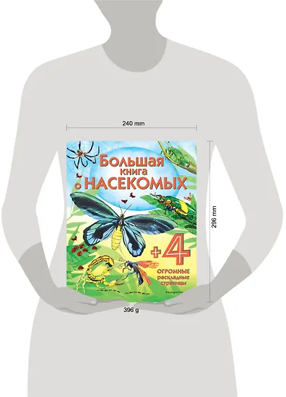 Большая книга о насекомых - фото 4