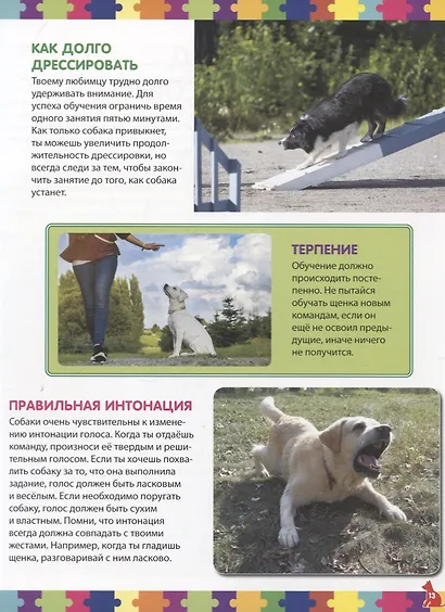 Моя первая книга о собаках и щенках. Детская энциклопедия - фото 5