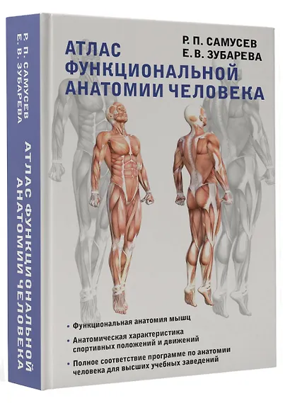 Атлас функциональной анатомии человека. Учебное пособие - фото 3