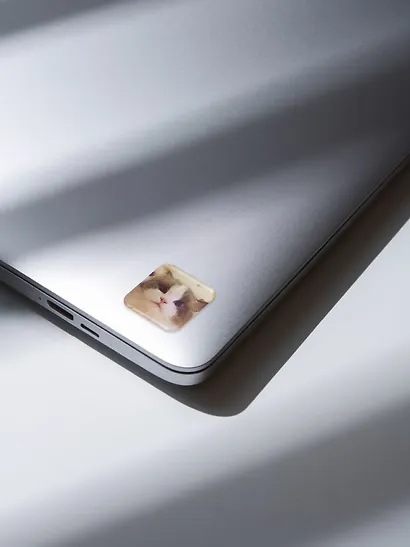 3D стикеры "Котики-3", 6 штук - фото 4