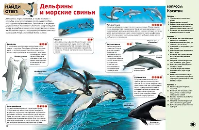 Интерактивная энциклопедия для школьников - фото 7