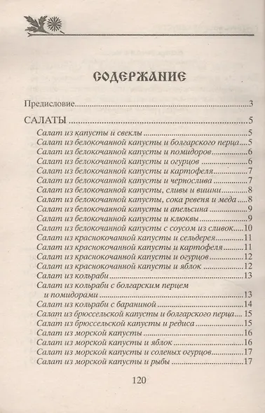 Готовим из капусты на завтрак, обед и ужин. Первые и вторые блюда, салаты и пироги, маринады и соленья - фото 2