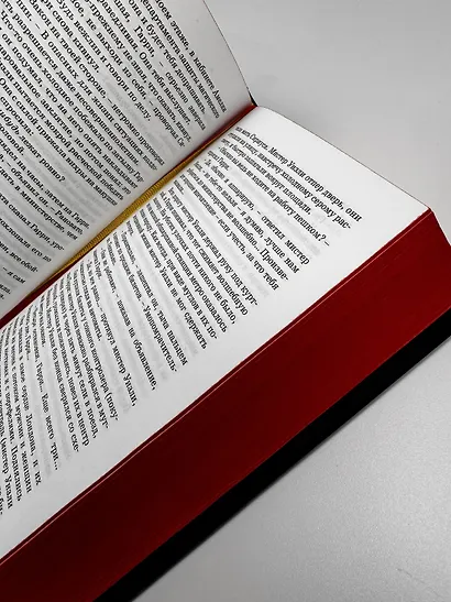 Гарри Поттер и Орден Феникса (Гриффиндор) - фото 6