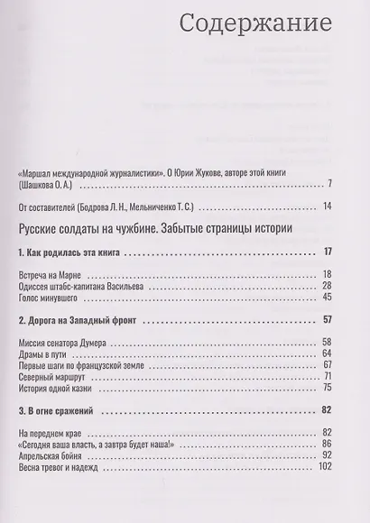 Русские солдаты на чужбине. Забытые страницы истории - фото 3