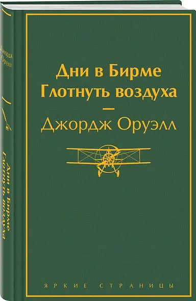 Дни в Бирме. Глотнуть воздуха - фото 3