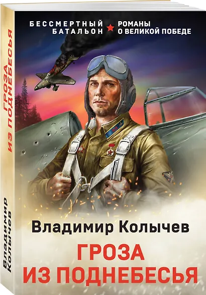 Гроза из поднебесья - фото 3