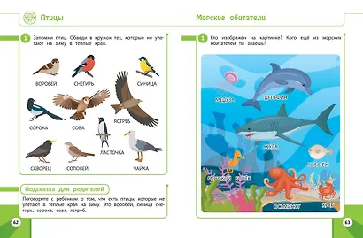 Развивающие задания для детей 4-5 лет - фото 8