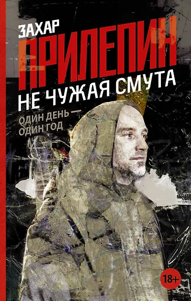 Не чужая смута. Один день - один год ( 2-ое издание) - фото 1