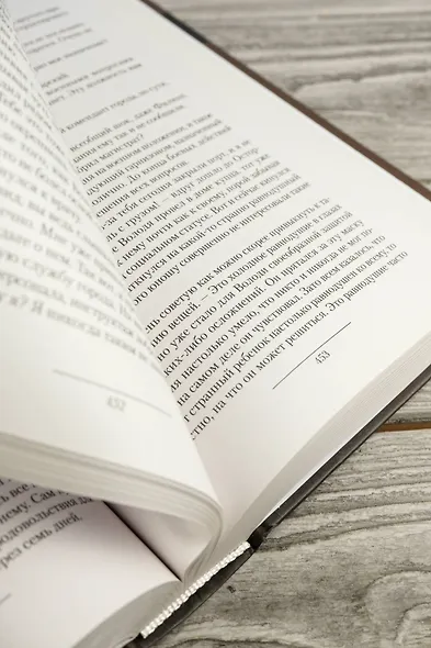 Князь Вольдемар Старинов. Стремление к жизни - фото 9