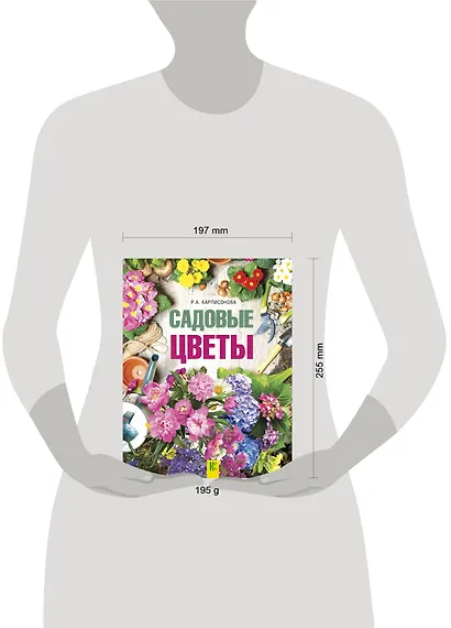 Садовые цветы - фото 3