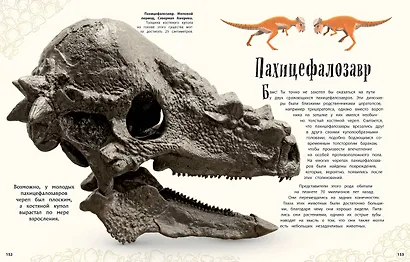 Динозавры и другие доисторические животные. Энциклопедия - фото 9