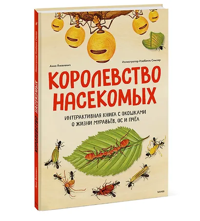 Королевство насекомых. Интерактивная книга с окошками о жизни муравьёв, ос и пчёл - фото 3