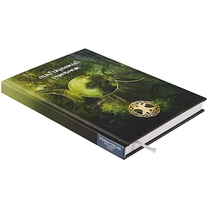 Магический дневник. Викка. - фото 2