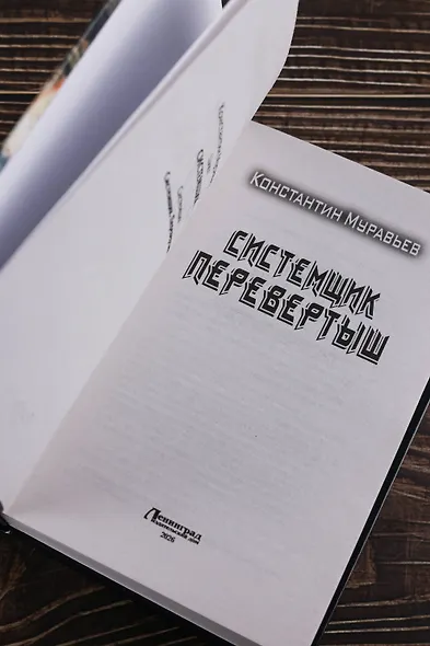 Системщик. Перевертыш - фото 6