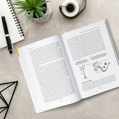 Устойчивый мозг: улучши свой мозг в любом возрасте - фото 13