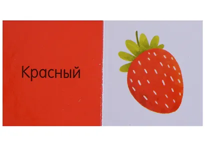 Познаем мир вместе. Мои первые знания. 15 книжек-кубиков - фото 4