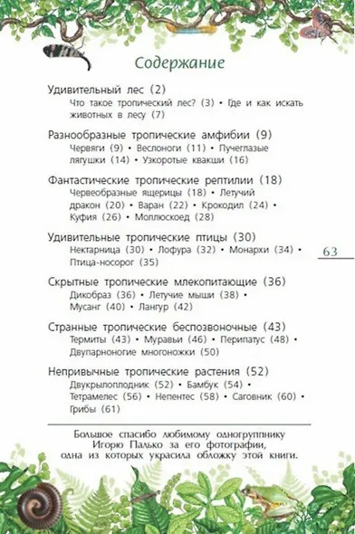 Тропический лес - фото 7
