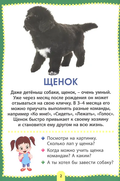 Детеныши животных. Фотокнига для самых маленьких - фото 2