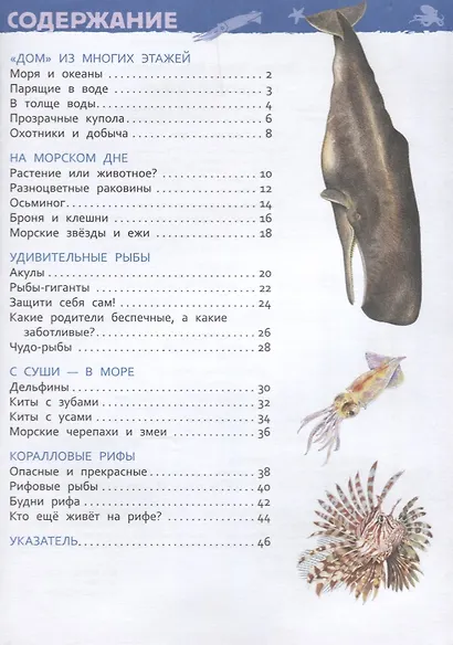 Подводный мир. Энциклопедия для детского сада - фото 2