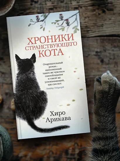 Хроники странствующего кота - фото 10