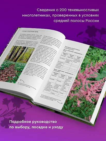 Цветник в тени. Неприхотливые растения для вашего сада - фото 5