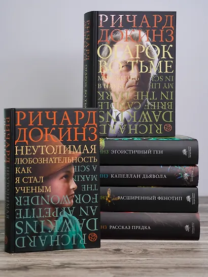 Огарок во тьме - фото 5