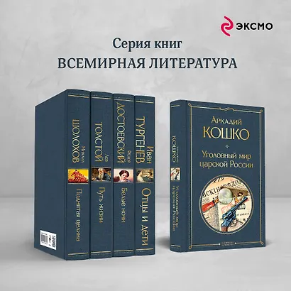 Уголовный мир царской России - фото 6