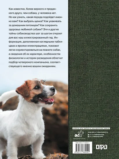 Собаки - фото 2