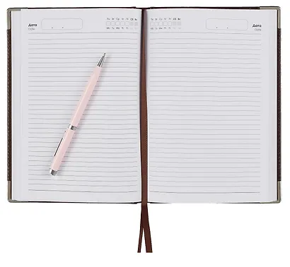 Ежедневник недат. А5 128л "SILVER" коричневый, иск.кожа 7Б, тв.переплет, мет.уголки, тонир.блок, тисн. фольгой, офсет, ляссе - фото 6