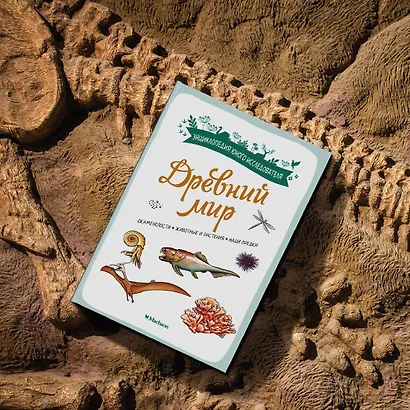 Древний мир. Окаменелости. Животные и растения. Наши предки - фото 11