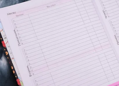 Дневник для средних и старших классов Unnika, "Дневник школьницы.Дизайн 6" - фото 2