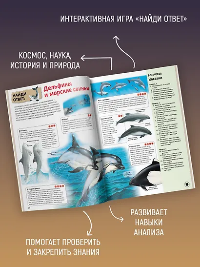 Интерактивная энциклопедия для школьников - фото 5